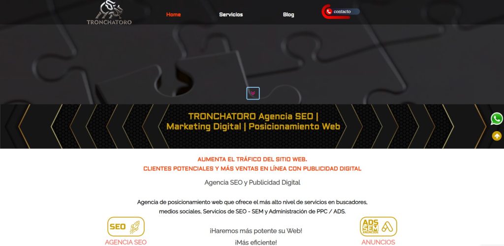Tronchatoro agencia seo bogotá