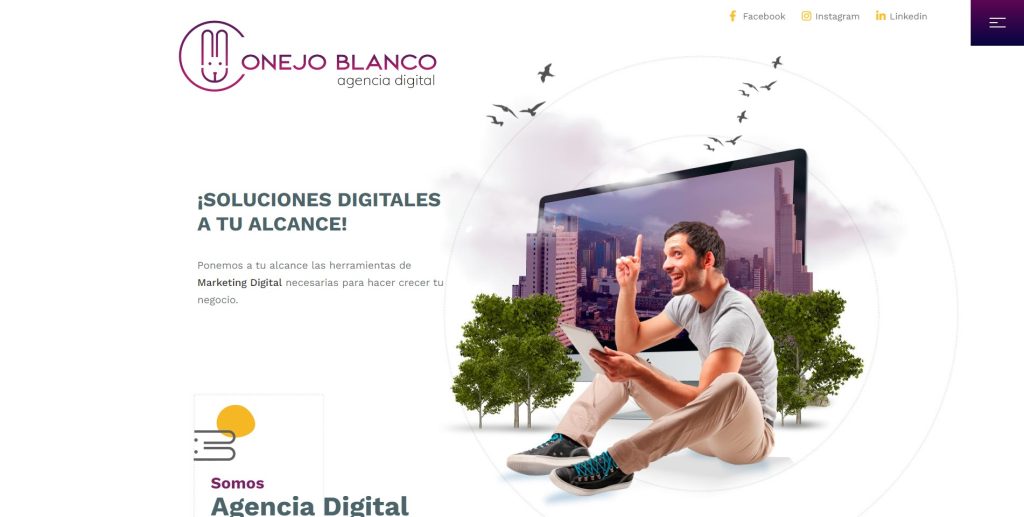 Conejo blanco agencia seo bogotá